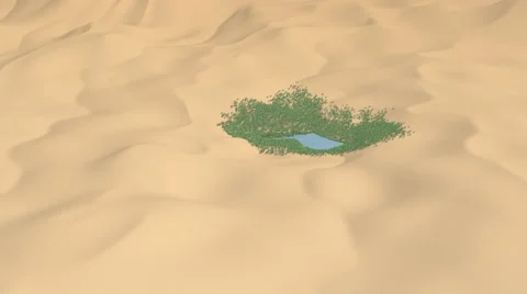 Desert. Dunes. Oasis. Stock Footage 67948358
