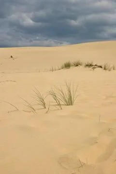 Desert dunes Stock Photos