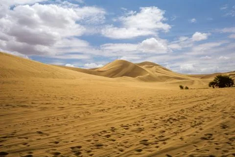 Desert dunes Stock Photos