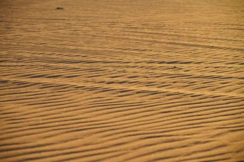 Desert dunes Stock Photos