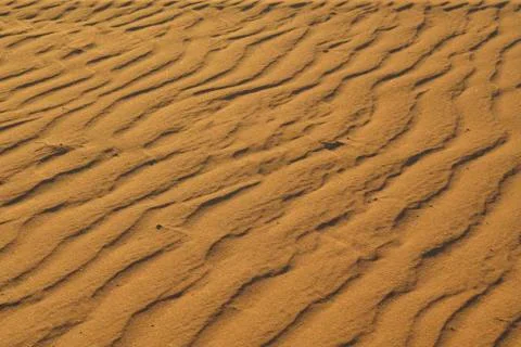 Desert dunes Stock Photos
