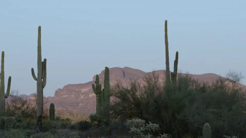 Desert at dusk Stock Footage 273726269