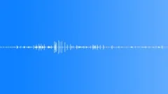 Desert, early birds sing and chirp - ambient, background loop 01Sound Effect