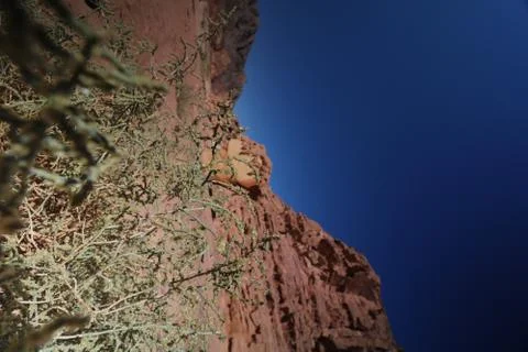 DESERT, Egypt Stock Photos