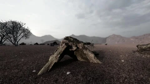 Desert environmental damage leads to desertification video Stock Footage 288267738