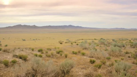 Desert Evening 4k background plate 28mm MLS Stock-Footage 133978166