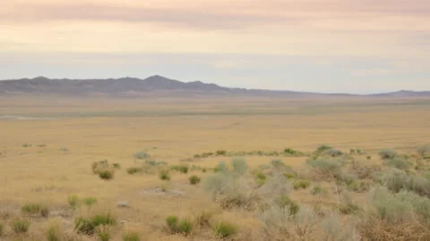 Desert Evening 4k background plate 50mm MLS Stock-Footage 133985940
