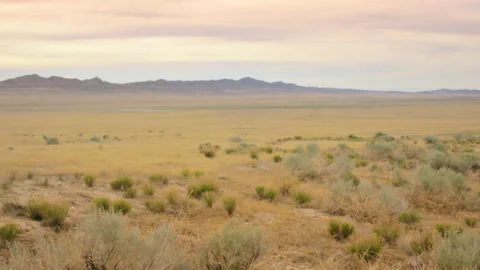 Desert Evening 4k background plate 35mm MLS Stock-Footage 134434447