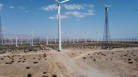 Desert Fan Video stock 159576955