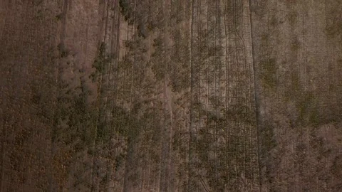 Desert farm field pattern in aerial view drone shot in summer season salt Stock Footage 263295153