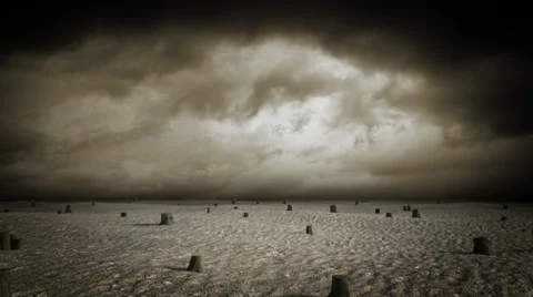 Desert of felled trees Stock Footage 34285954