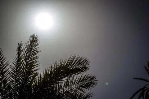 Desert of figuig Stock Photos