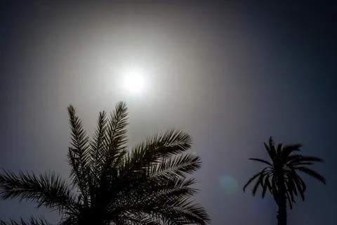 Desert of figuig Stock Photos
