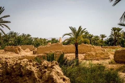 Desert of figuig Stock Photos