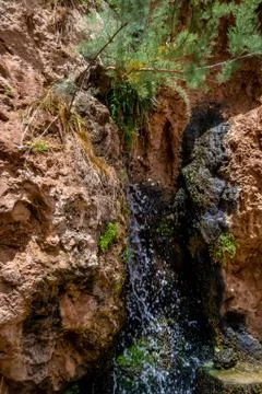 Desert of figuig Stock Photos