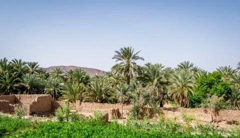 Desert of figuig Stock Photos