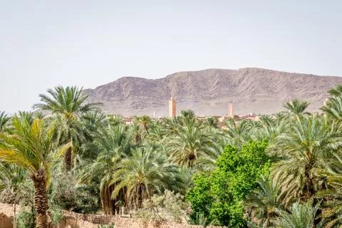 Desert of figuig Stock Photos