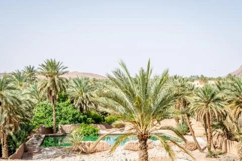 Desert of figuig Foto stock