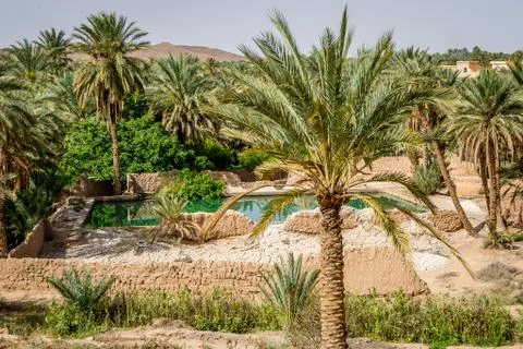 Desert of figuig Stock Photos