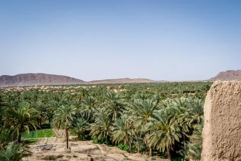 Desert of figuig Foto stock