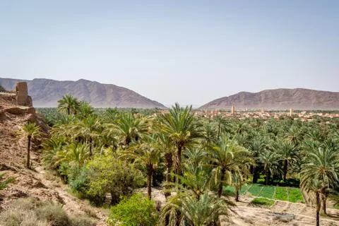 Desert of figuig Stock-Fotos