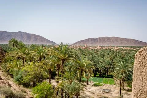 Desert of figuig Stock Photos