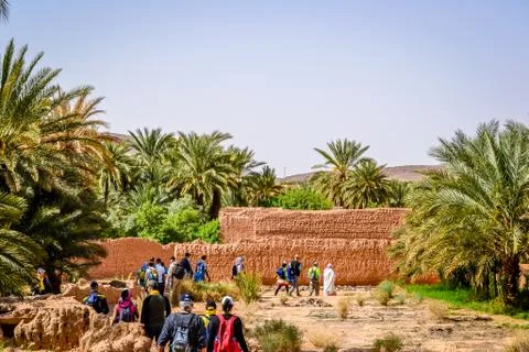 Desert of figuig Stock Photos