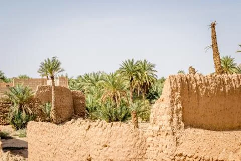 Desert of figuig Foto stock