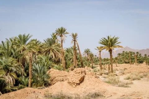 Desert of figuig Stock Photos