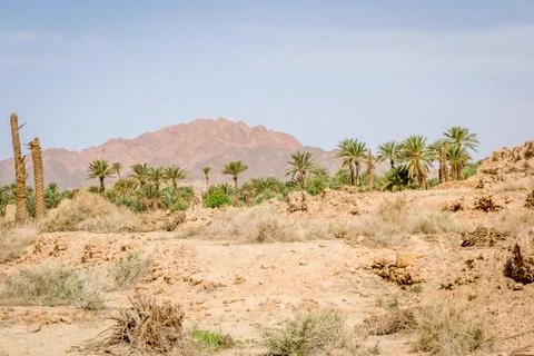 Desert of figuig 스톡 사진