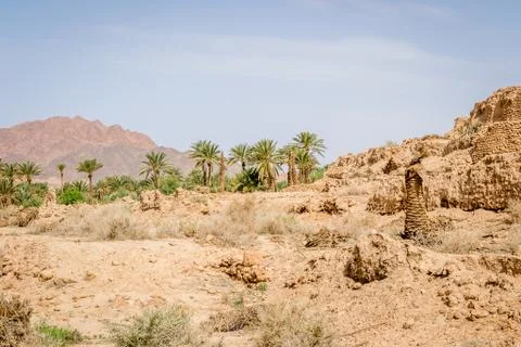 Desert of figuig Stock Photos