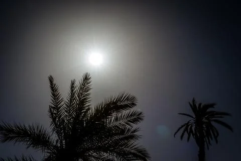 Desert of figuig Stock Photos