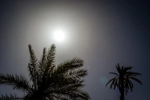 Desert of figuig Stock Photos