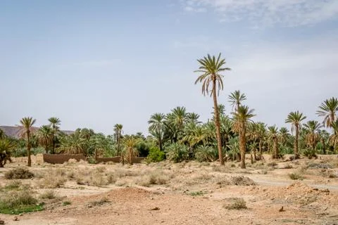 Desert of figuig Stock Photos
