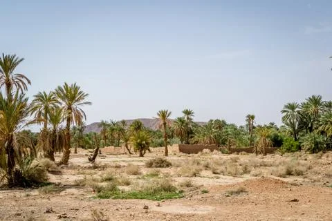 Desert of figuig Stock Photos