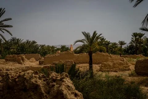 Desert of figuig Stock Photos