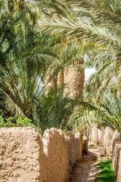Desert of figuig Stock Photos
