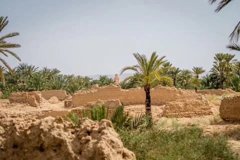 Desert of figuig Stock Photos