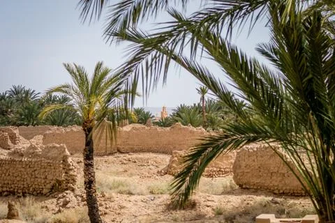 Desert of figuig Stock Photos