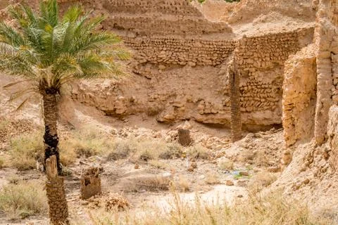 Desert of figuig Stock Photos