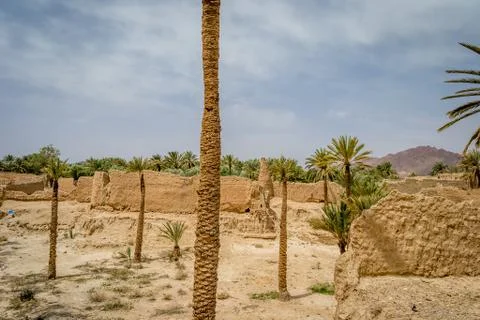Desert of figuig Stock Photos