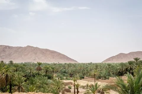 Desert of figuig Stock-Fotos