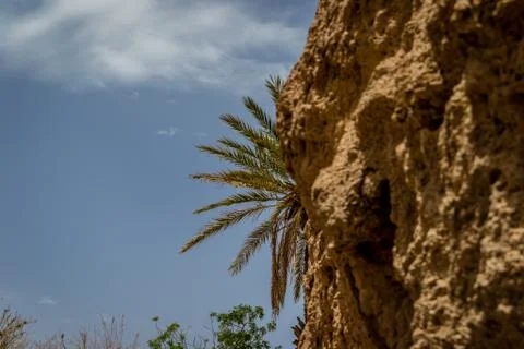 Desert of figuig Stock-Fotos