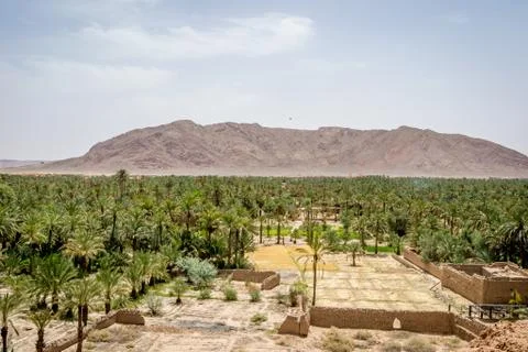 Desert of figuig Stock Photos