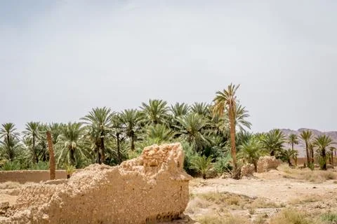 Desert of figuig Stock Photos