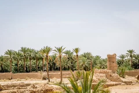 Desert of figuig Foto stock