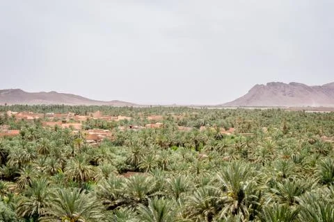 Desert of figuig Stock Photos