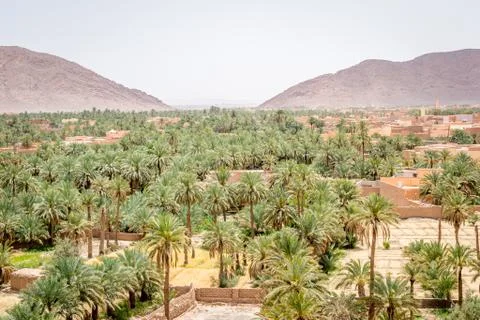 Desert of figuig Stock Photos