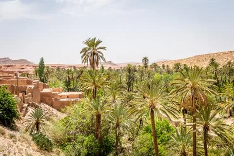 Desert of figuig Stock Photos