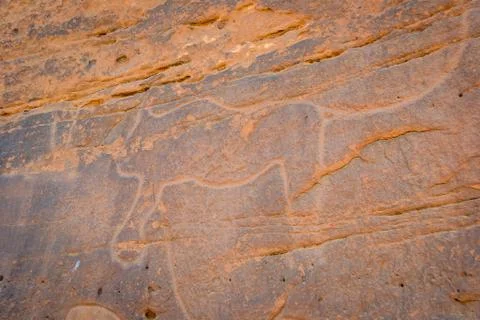 Desert of figuig Stock Photos